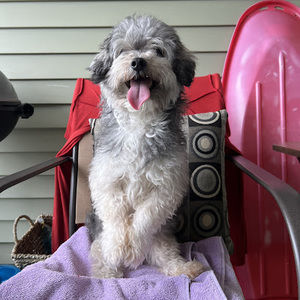 Meet your Posher, Chantal